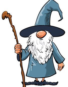 Meet the Wizards